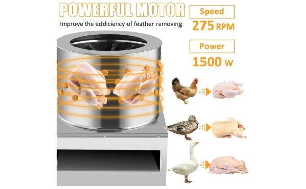 Chicken Feather Removal Machine - Image 3