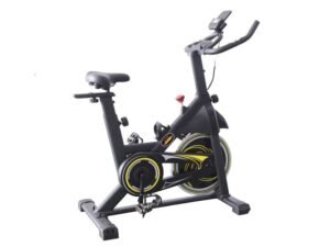 Magnetic spin bike