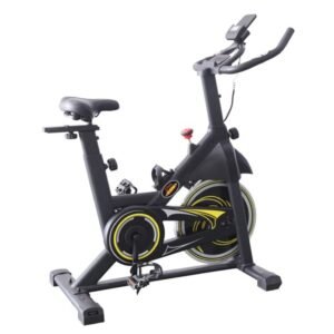 Magnetic spin bike