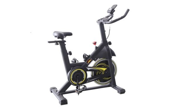 Magnetic spin bike
