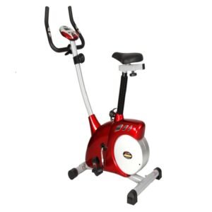 Magnetic upright bike